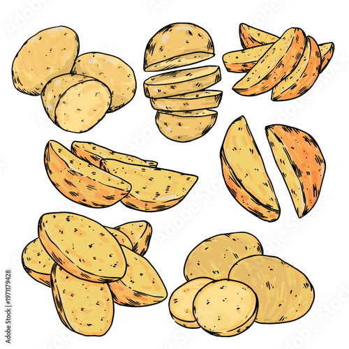 Collection of vintage hand drawn raw potatoes and potato wedges vector illustration
