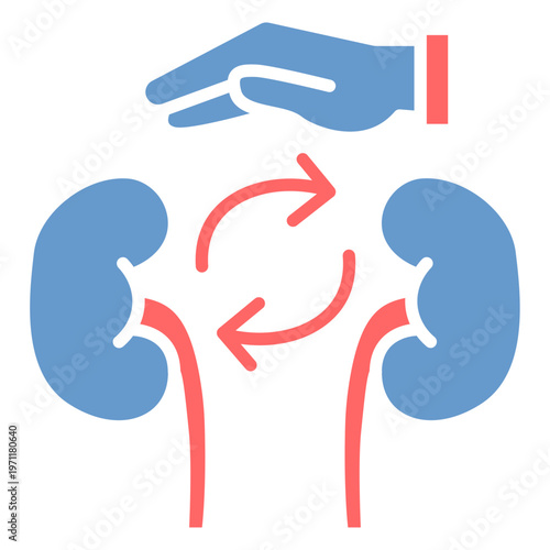 Kidney Transplant Vector Icon