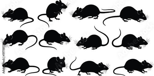 mouse silhouette set, rat vector collection, black and white rodent illustration, small animal poses, pest icon design, wildlife clipart