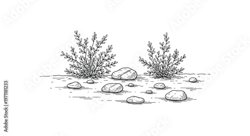 Desert shrubs with rocks in black and white illustration for landscape design
