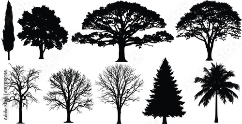 Professional Tree Silhouette Vector Set Featuring Pine Palm Oak and Dead Tree Shapes for Landscape and Environmental Design