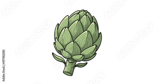 Detailed hand drawn illustration of a fresh green artichoke isolated on a white background showing its layered leaf structure and stem.