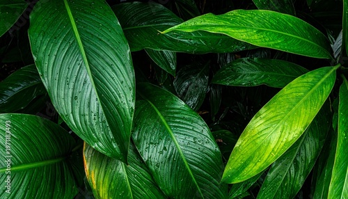Close up of vibrant green plant leaves