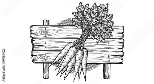 Fresh carrots on wooden sign illustration.