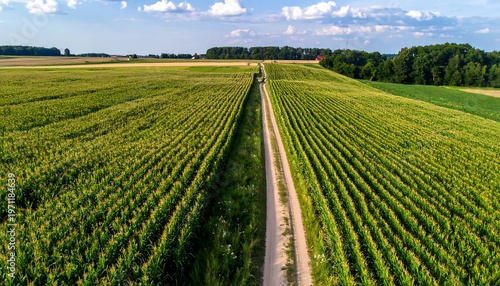 Aerial view of a long road through a green field.