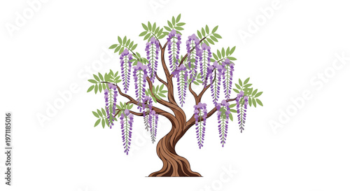 Beautiful Blooming Wisteria Tree Illustration