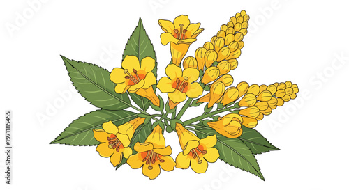 Illustration of Yellow Tecoma Stans Flowers with Green Leaves