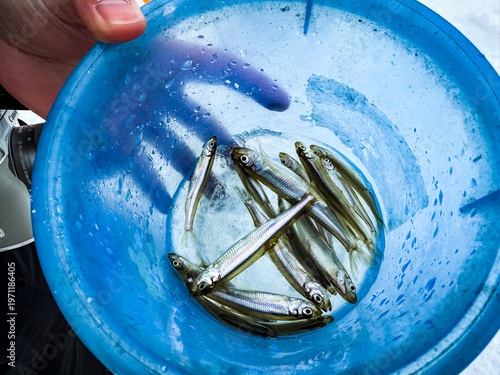 冬の湖でワカサギ釣り