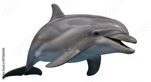Realistic 3D Bottlenose Dolphin Isolated on White Background
