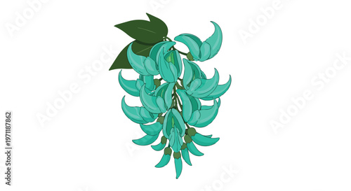 Illustration of a beautiful turquoise jade vine flower cluster