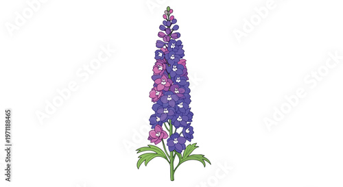 Beautiful Purple and Pink Delphinium Flower Illustration