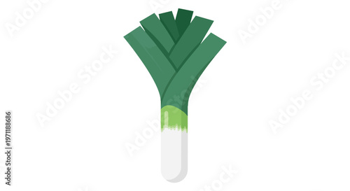 Flat Vector Illustration of a Fresh Green Leek Vegetable