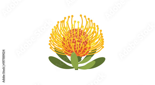 Stylized Vector Illustration of a Vibrant Yellow Pincushion Protea Flower
