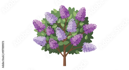 Blooming Lilac Bush Illustration Isolated on White Background