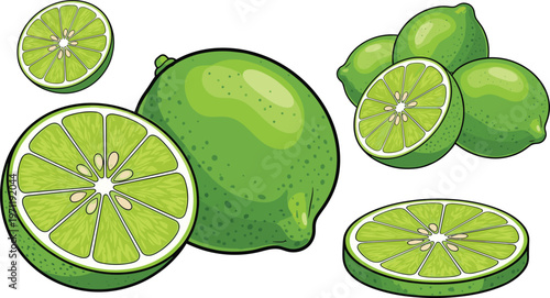 Fresh Lime Illustration Set with Whole, Sliced, and Cross-Sectioned Pieces, Bright Green Citrus Fruit for Healthy, Organic, and Food Designs