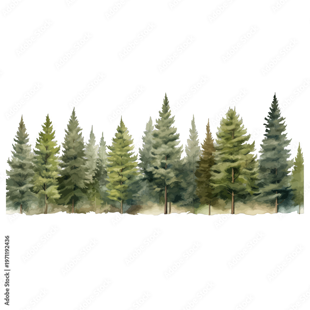 Fototapeta premium Watercolor illustration of a lush coniferous forest tree line with evergreen pine, fir, and spruce trees