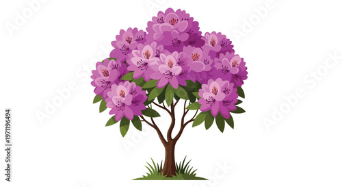Illustration of a Blooming Rhododendron Shrub with Purple Flowers
