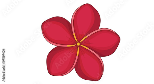 Beautiful Red Plumeria Flower Isolated on White Background