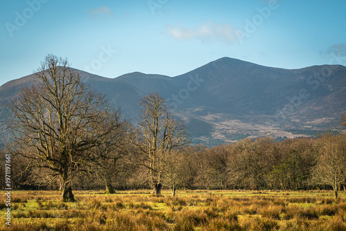 view of park, forest, mountains and clouds