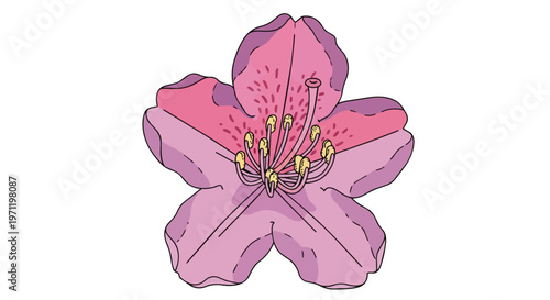 Hand Drawn Illustration of a Pink Rhododendron Flower