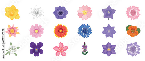 Colorful floral flowers icon set featuring dahlia orchid lotus poppy and botanical blossoms decorative outline line editable stroke spring garden
