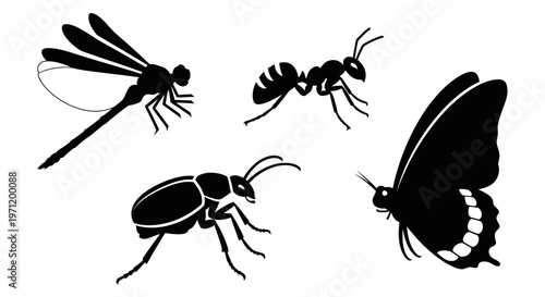 Insect silhouettes collection: dragonfly, ant, beetle, butterfly