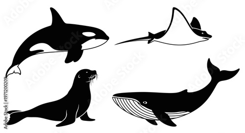 Marine Animals Collection: Orca, Manta Ray, Seal, and Whale Silhouettes