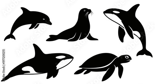 Marine Animals Silhouette Collection: Dolphin, Seal, Orca, and Sea Turtle Vector Icons