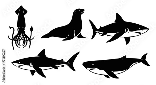 Marine Animals Silhouette Collection: Squid, Sea Lion, Sharks, and Whale