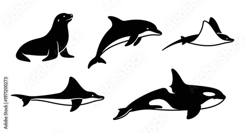 Marine Animals Silhouettes Set: Dolphin, Orca, Seal, Manta Ray, and Shark Vector
