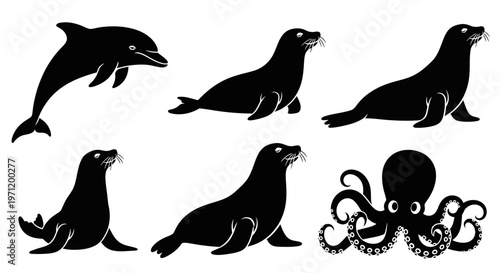 Marine Animals Silhouettes Set: Dolphin, Seals, and Octopus Icons