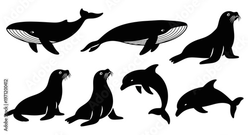 Marine Mammals Silhouettes Vector Set: Whales, Dolphins, and Seals Collection