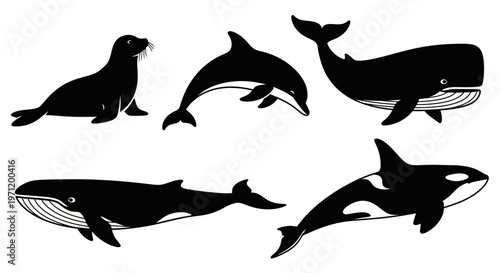 Marine Mammals Silhouettes Set: Whale, Dolphin, Seal, Orca Vector Illustration