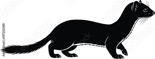 Weasel silhouette illustration set, agile mammal artwork design, wildlife vector motif, bold graphic icon, black white stealth symbol