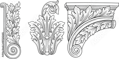 Architectural ornament illustration set, acanthus leaf scroll artwork design, classical vector motif, bold graphic icon, black white decorative symbol