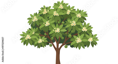 Illustration of a Tropical Fruit Tree with White Blossoms and Green Fruits