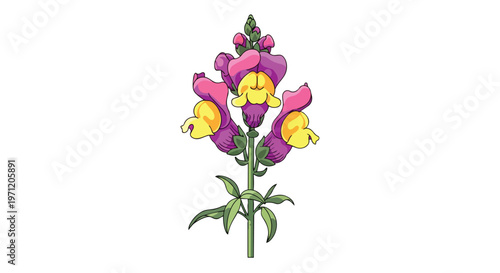 Illustration of a Vibrant Purple and Yellow Snapdragon Flower