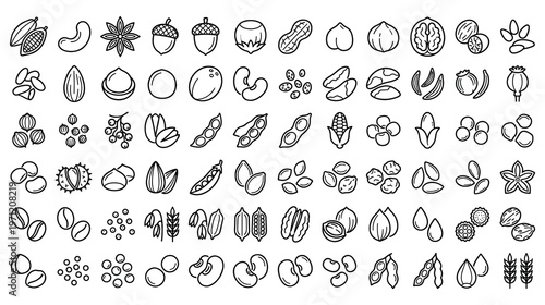 Set of beans peas seeds nuts grains corn and spices food icons collection.