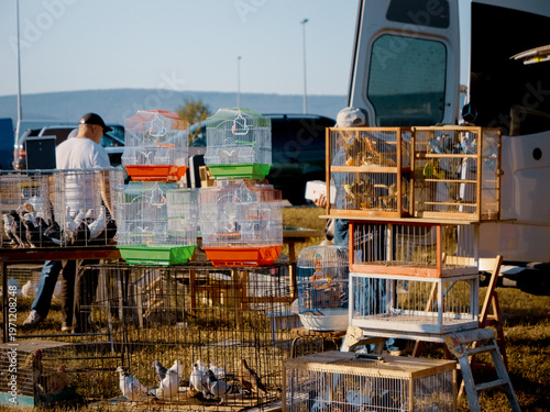 Orhei, Moldova - 2025 Septembrie 28: Colorful bird cages line the market, while visitors explore the lively atmosphere filled with chirps and chatter, discovering various species and vendors