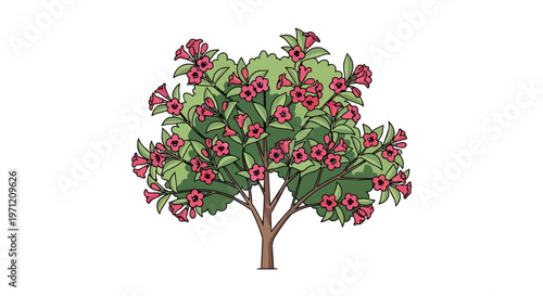 Illustration of a Flowering Weigela Shrub with Pink Blossoms