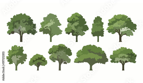 Tree elevation vector set in horizontal layout with green leafy species for architectural and landscape projects