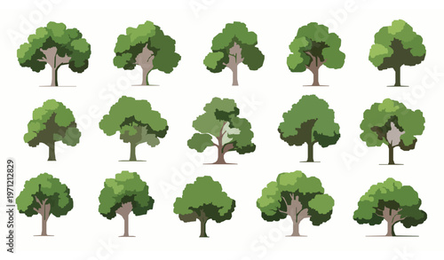 Modern tree elevation vector collection with diverse green trees for landscape and urban design use