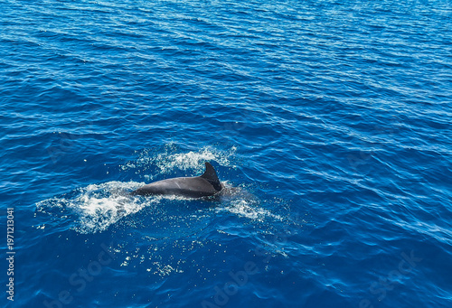 segeln im Mittelmeer