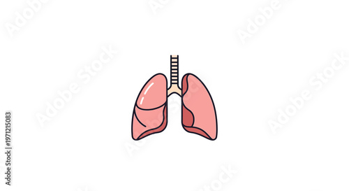 Cartoon depiction of lungs with trachea in illustration style on white background