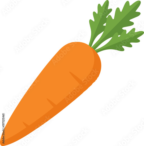 Fresh orange carrot vegetable.