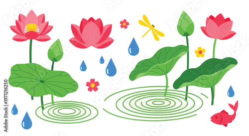 Vector set of hand drawn lotus plants with water ripples and raindrops for nature concepts.