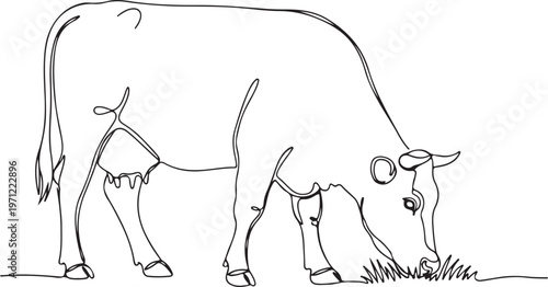 Cow grazing, line art cow, simple animal illustration, black and white vector