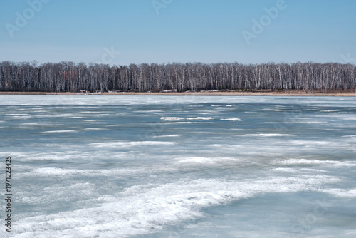 Melting Ice Surface on Lake Podbornoye with Birch Forest Background, Russia