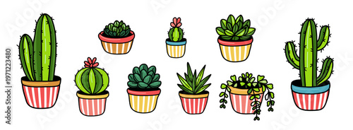 Cactus set. Desert prickly plants, Mexican cactus flowers, and tropical houseplants or cacti for summer climates.
