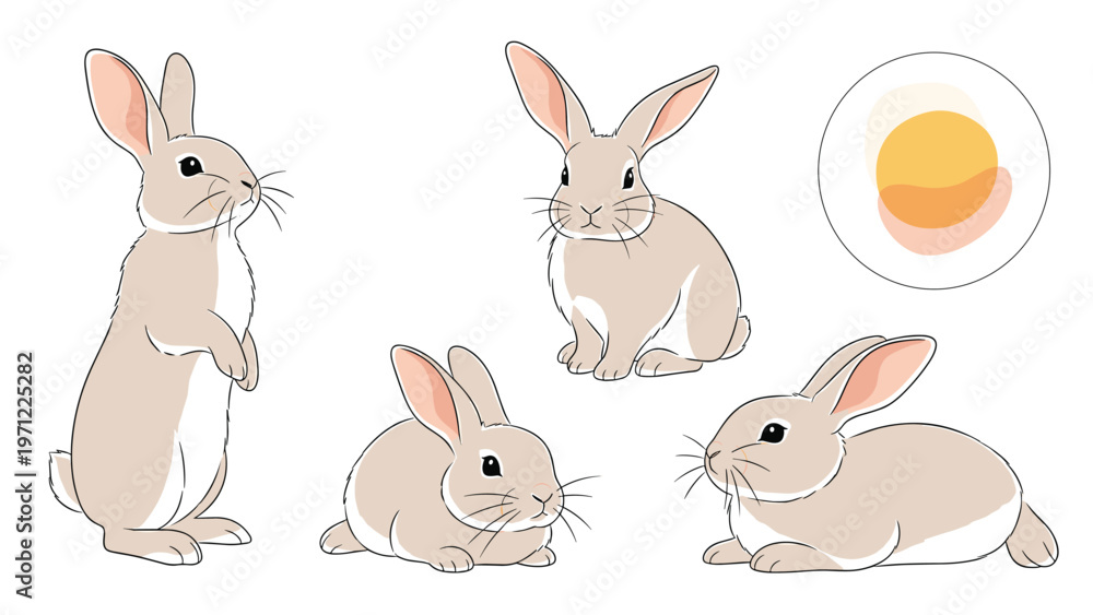 Obraz premium Detailed illustrations of four light brown bunnies in different sitting and lying positions with soft fur textures and gentle animal features.